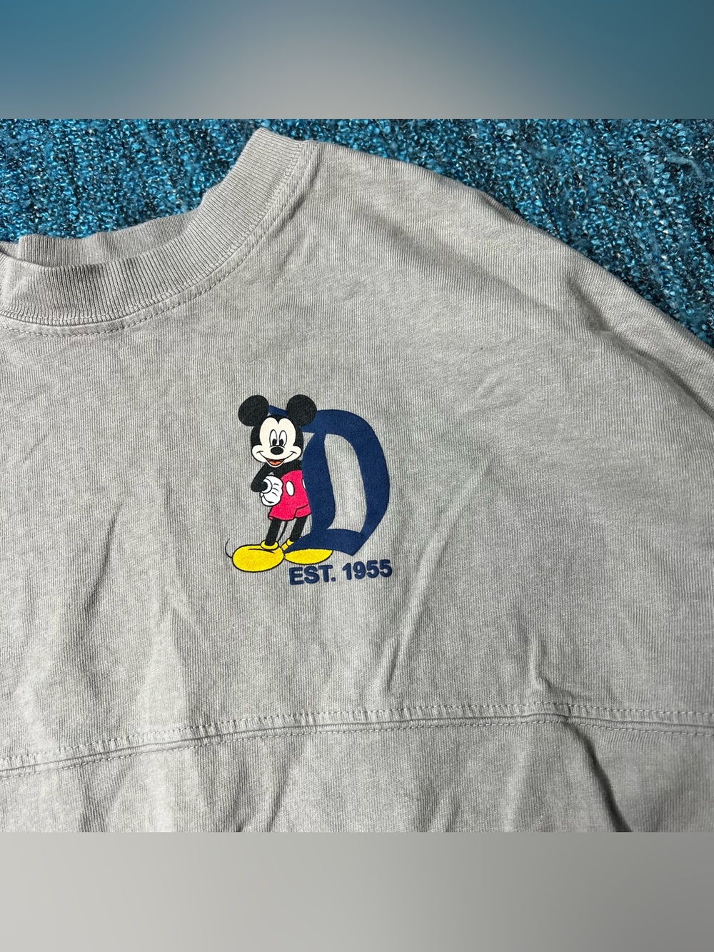Disneyland Resort Youth Spirit Jersey in Gray Mickey Donald Pluto Goofy Large - Picture 4 of 7